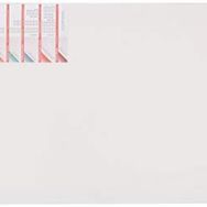 Ponart Profesyonel A Plus Kalın Şase 50x100 cm Tuval