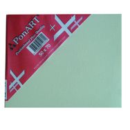 Ponart Profesyonel Plus 50x70 cm Tuval