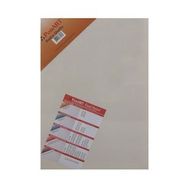 Ponart PTB-50X70 50X70 cm Basics Seri Tuval
