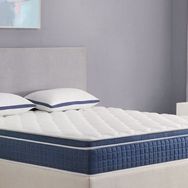 Pooly Safir Kuş Tüyü Pedli Ortopedik Tek Kişilik Yaylı 90x200 cm Yatak