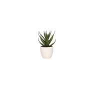 Porland Aloe Vera 15 cm Mini Yapay Bitki