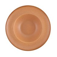 Porland Ethos Danshari Earth 26 cm Makarna-Salata Tabağı