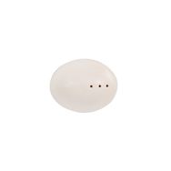 Porland Oasis Alumilite 4 cm Tuzluk