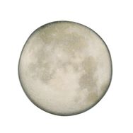 Porland Stoneware Selene 28 cm Makarna Salata Tabağı