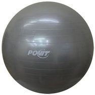 Povit Gri 75 cm Pilates Topu