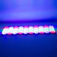 Powermaster 12 V 3.6 W RGB Flaşlı Yanıp Sönen 2835 Modül Led