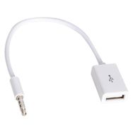 Powermaster Dişi Aux Stereo USB Kablo