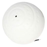 Powermaster Dome Tip Mıc-02 Kamera Mikrofonu