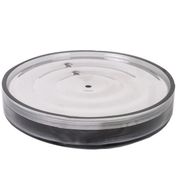 Primanova M-SA07-25 Şeffaf Siyah Lima Xl Katı Sabunluk