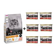 Pro Plan Elegant Somonlu 10 kg Yetişkin Kedi Maması + Proplan Adult Tavuk Etli Yetişkin 6x85 gr Kedi Konservesi