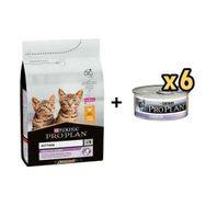 Pro Plan Kitten Tavuklu 10 kg Yavru Kedi Maması + Proplan Junior Tavuk Etli 6x85 gr Yavru Kedi Maması