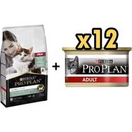 Pro Plan Live Clear Kitten Hindili 1.4 kg Yavru Kedi Maması + 12x85 gr Junior Tavuk Etli Yavru Kedi Maması