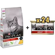 Pro Plan Tavuklu 10 kg Yetişkin Kedi Maması + 24x85 gr Adult Tavuk Etli Yetişkin Kedi Konservesi