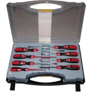 Pro-Scr 02913 8 PCS Tornavida Takımı