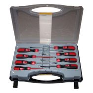 Pro-Scr 02913 8 PCS Tornavida Takımı