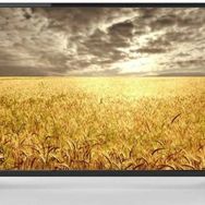 Profilo PA305E LED TV