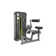 Profitness A3031 Back Extension