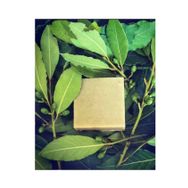 ProHerbal 100 gr Defne Sabunu