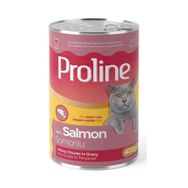 Proline 400 gr Sos İçinde Et Parçacıklı Somonlu Yetişkin Kedi Konservesi