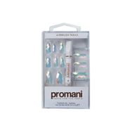 Promani PR-5672 Şeffaf Kristal Takma Tırnak Kiti
