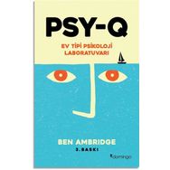 PSY-Q: Ev Tipi Psikoloji Laboratuvarı