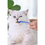 Pugalo Kedi Diş Fırçası 4'Lü