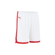 Puma 60660501 Turkey Game Short Beyaz Erkek Basketbol Şortu