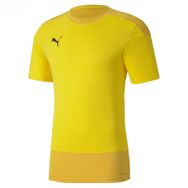 Puma 65648207 Teamgoal 23 Erkek Sarı Futbol Tişört