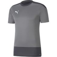 Puma 65648213 Team Goal 23 Çok Renkli Erkek Futbol T-shirt
