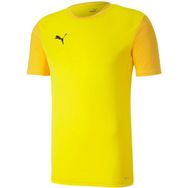 Puma 65648407 Teamgoal 23 Sideline Tee Sarı Futbol Antrenman Erkek T-Shirt