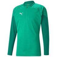 Puma 65798205 Yeşil Teamcup Training 1/4 Zip Top Erkek Futbol Uzun Kollu Antrenman Üstü