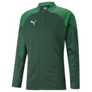Puma 65798305 Teamcup Training Jacket Yeşil Erkek Ceket