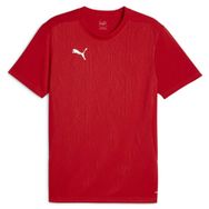 Puma 65855701 Kırmızı Teamfinal Training Jersey Futbol Antrenman Erkek T-Shirt