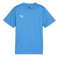 Puma 65863602 Teamgoal Jersey Mavi Erkek Forması