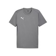 Puma 65863613 Beyaz Teamgoal Jersey Erkek Futbol Antrenman Tişörtü