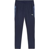 Puma 65917506 Teamcup Training Pants Gri Erkek Eşofman Altı