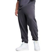 Puma 67598069 Better Essentials Gri Günlük Stil Erkek Eşofman Altı