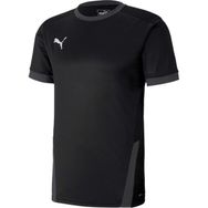 Puma 70417103 Teamgoal 23 Jersey Siyah Erkek Futbol Forması