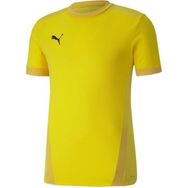 Puma 70417107 Team Goal 23 Erkek Çok Renkli Futbol Tişört