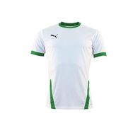 Puma 70417115 Teamgoal 23 Jersey Beyaz Erkek Futbol Forması