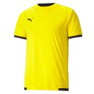Puma 70491707 Teamliga Jersey Sarı Erkek Futbol Forması