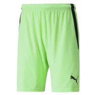 Puma 70492420 Teamliga Shorts Yeşil Erkek Futbol Şortu