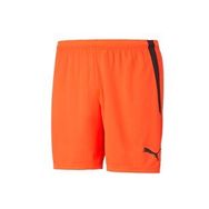 Puma 70492445 Teamliga Shorts Turuncu Erkek Futbol Şortu