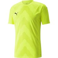 Puma 70501722 Teamglory Jersey Yeşil Erkek Futbol Forması