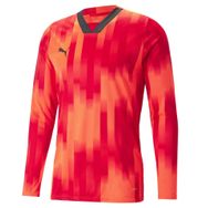 Puma 70564601 Kırmızı Teamtarget GK LS Jersey Erkek Kaleci Forması