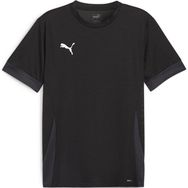 Puma 70574703 Siyah Teamgoal Matchday Jersey Futbol Antrenman Erkek T-Shirt