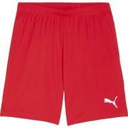 Puma 70575201 Teamgoal Shorts Kırmızı Erkek Futbol Antrenman Şortu