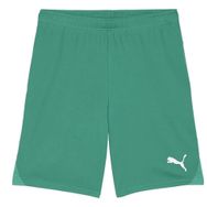 Puma 70575205 Teamgoal Shorts Yeşil Erkek Futbol Antrenman Şortu