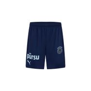 Puma 77538209 Fenerbahçe 2024/25 Mavi Erkek Futbol Şortu