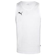 Puma 77635101 Beyaz Türkiye Tee SL Erkek Futbol Antrenman Atleti